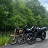 1chmo_shnik