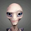 graviolee13
