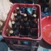 7papucho