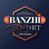 banzhi.import