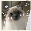 krystal_hehe1