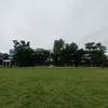 playingkinghts