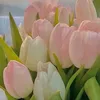 dolly_play0
