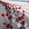 user3250931270632