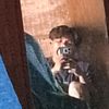 user4491151736590