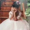 yaya.katou