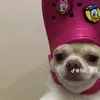 ha9999r