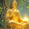 nguyenkien.capcut4