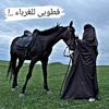 omedris493