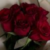 user8536697811861