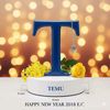 temu8457