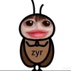 quyanhpham798