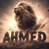 ahmed.salah0867