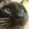 personwhoissome16