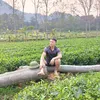 hoanghamy_2020