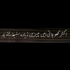 shaa.abbasi824