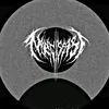 pandaedetor6