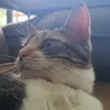 cacaemi90