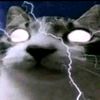 ira_ungatoelectrico