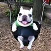 chpukjijwq0