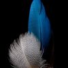 nassim.lamouri8