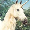 coratheunicorn1