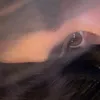 glenaaa.9