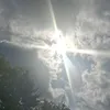 ehzejm