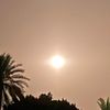 mohamed.g105