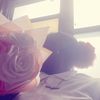 annika.azar