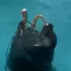 custardfilledsocks