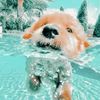 hello_24817