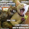 catlady18517