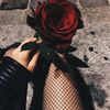 artist_s6