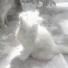 enfp236