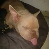 miguel.nascimento313