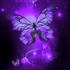 sofi01047
