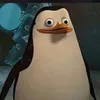 aleatorio.do.tiktok0960