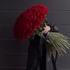 rose.77o0