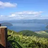 ゆんんん