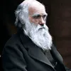hamzatamiri5