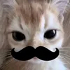 ericsohnwife_