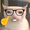 cat_meme51