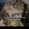 mohsenbenfraj0