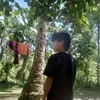 jaysonrapi6