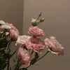 sofia_love556