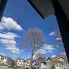 lorelai2628