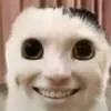 bop_con_me_may_tiktok