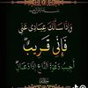 salaman404c