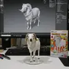 tedi_144